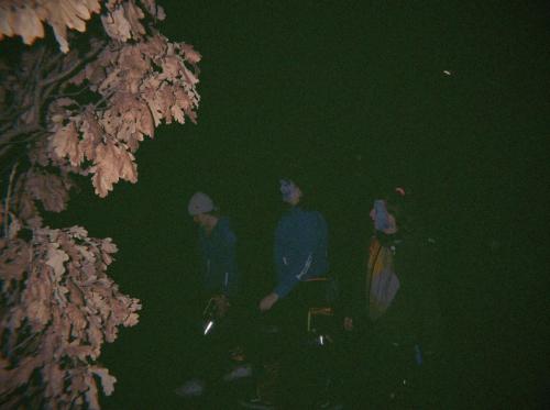 2026-02-08-flashbackclassic-9_20260211